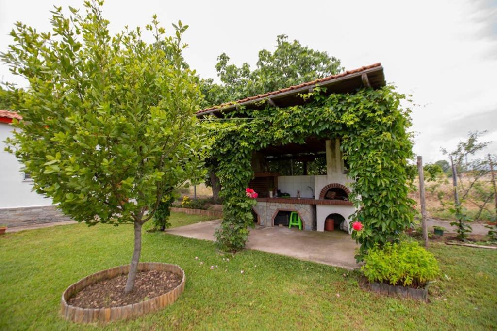 Villa Agrampeli Ierissos Exterior foto